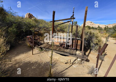 La pourriture à l'usine d'or Joshua Tree National Park Banque D'Images