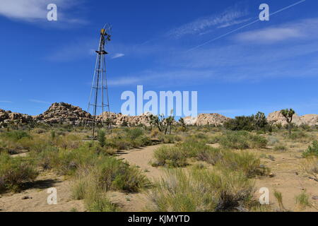 Un tour de l'eau dans le désert du parc national de Joshua tree Banque D'Images