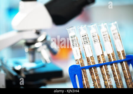 Graines et céréales dans le laboratoire de la qualité des aliments Banque D'Images