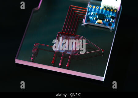 Un laboratoire sur puce (loc) est l'intégration avec plusieurs fonctions de laboratoire Banque D'Images