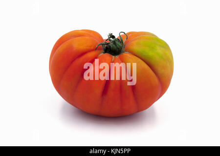 Big Red tomate raf depuis Almeria isolé sur fond blanc Banque D'Images