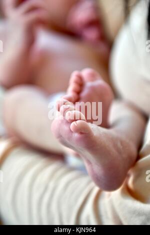 Bébé nouveau-né les pieds avec de mignons petits orteils Banque D'Images