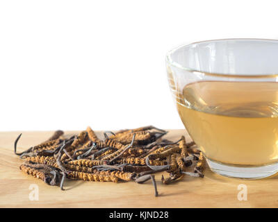 Sélectionnez de focust Ophiocordyceps sinensis (CHONG CAO) ou champignons cordyceps cette une des herbes. Avec un verre d'eau, ajouter l'eau de l'Ophiocordyceps sine Banque D'Images