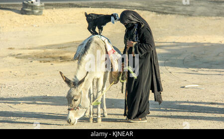 La femme arabe au chèvre et de l'âne sur la station de bus près de Hurghada. Cette gare routière est une attraction touristique sur la route de Louxor. Banque D'Images