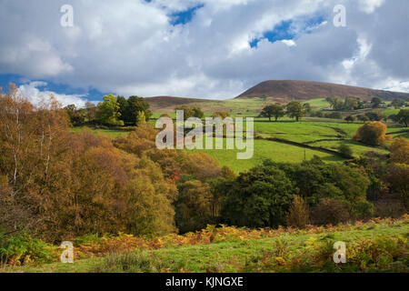 Easterside Hill à l'automne de North York Moors national park North Yorkshire Banque D'Images