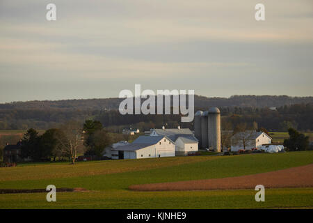 Ferme à la fin de l'automne, Strasbourg, comté de Lancaster, Pennsylvanie, USA Banque D'Images