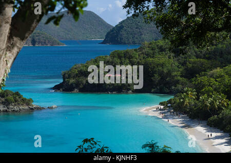 Trunk Bay sommaire, St John, US Virgin Islands National Park Banque D'Images