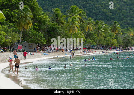 Sur la plage de Magen's Bay, St Thomas, Îles Vierges Britanniques Banque D'Images