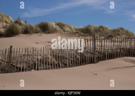 Ligne de pins alignées derrière une clôture en bois à formby beach pour réduire l'érosion côtière Banque D'Images