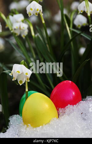 Œuf de pâques meadow snowdrop flocon à l'extérieur dans le pré Banque D'Images