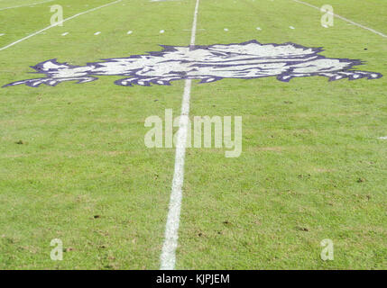 Fort Worth, Texas, USA. 24 Nov, 2017. Le milieu de terrain avant au cours de la NCAA Football match entre le TCU Horned Frogs et le Baylor Bears au stade Amon G. Carter à Fort Worth, Texas. Matthew Lynch/CSM/Alamy Live News Banque D'Images