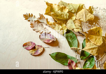 Fleurs sauvages sèches avec un chêne,noix,plum feuilles et brindilles de bois avec l'automne les feuilles jaunies sur le côté de la contreplaqué non peinte Banque D'Images