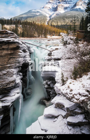 Les chutes Athabasca dans le parc national Jasper Banque D'Images