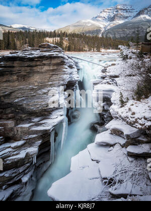 Les chutes Athabasca dans le parc national Jasper Banque D'Images