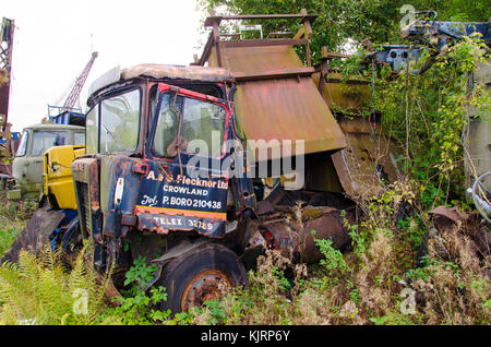 Un parc à ferrailles qui tient spécifiquement ventilées pour mise au rebut des véhicules et pièces de véhicule complètement grandi et véhicules abandonnés. Banque D'Images