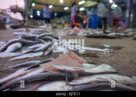 KOH CHANG, THAÏLANDE - 2 janvier 2015 : vente de poisson frais dans un marché de rue en Thaïlande Banque D'Images