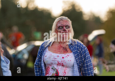 Château witton, bishop auckland, Co Durham, Angleterre. 29 octobre, 2017. La charité fun porteur, poursuivi par des zombies, prendre part à une course de 5 Km. Banque D'Images