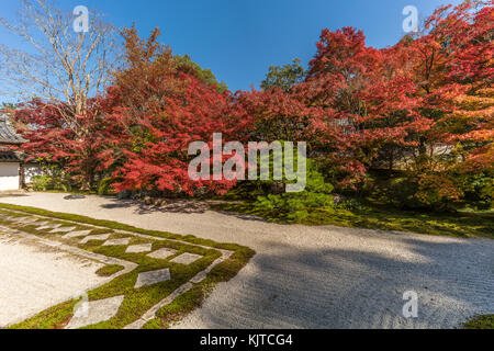 Les feuilles d'automne feuillage d'automne au Tenjuan gravier ratissé Temple Rock Garden. Subtemple de Nanzenji. Situé à Higashiyama, Kyoto, Japon Banque D'Images