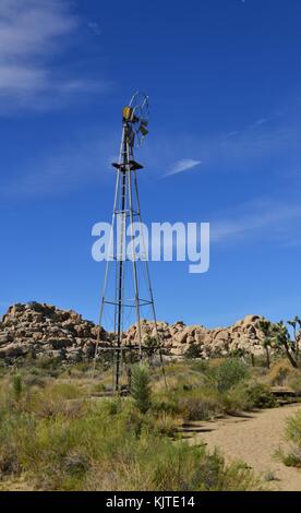 Un tour de l'eau dans le désert du parc national de Joshua tree Banque D'Images