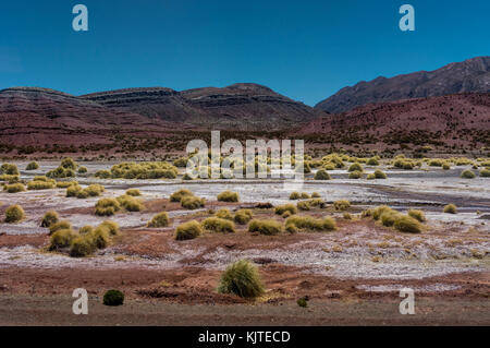 Photo prise en août 2017 à Uyuni en Bolivie, Amérique du Sud : Désert d'Uyuni en Bolivie Banque D'Images