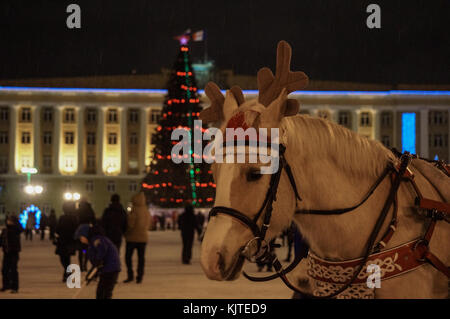 Veliki Novgorod, Russie - 02.01.2017 : cheval devant l'arbre de Noël Banque D'Images