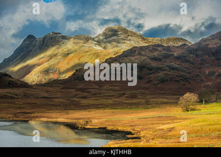 Langdale Pikes dans le parc national du district des lacs vu de Blea Tarn lors d'une journée hivernale Banque D'Images