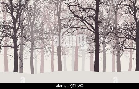 Vector illustration d'une forêt d'hiver sans les feuilles avec de la Neige et ciel voilé d'artifices Illustration de Vecteur