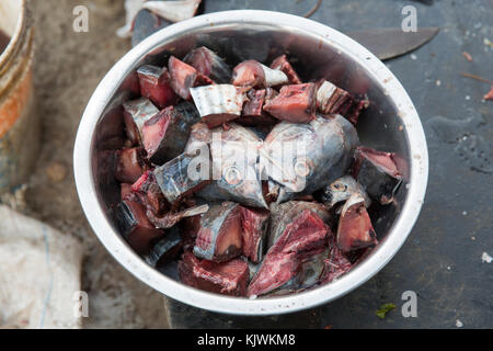 Nungwe, Zanzibar, Tanzanie ; les pêcheurs découper de petits poissons de leurs prises pour les vendre au marché. Banque D'Images