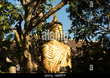 Bouddha en or dans l'ombre de Vat Choumkhong à Luang Prabang, Laos Banque D'Images