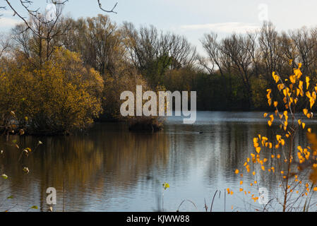 Hemingford grey lake, Cambridgeshire, Angleterre, Royaume-Uni. Banque D'Images