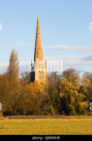 All Saints Church spire sur l'autre côté de la rivière Great Ouse à St Ives, vu de Hemingford Grey pré, Cambridgeshire, Angleterre, Royaume-Uni. Banque D'Images