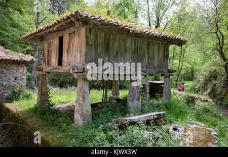 L'asturien a soulevé le grenier ou Oriel près de Épernay dans le pied du Picos de Europa dans le nord de l'Espagne Banque D'Images