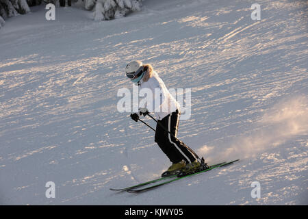 Skieur dans combinaisons blanches avec le casque blanc sur la tête des manèges sur les pentes. la pente de ski sur une colline, des arbres couverts de neige baignée d'une golden sunse Banque D'Images