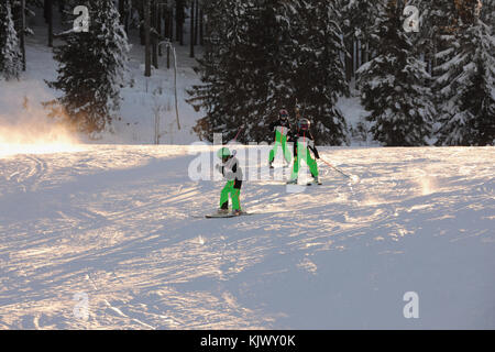 Trois enfants en salopette verte sur les pentes de ski. Vue sur les pistes de ski couvertes de neige dans les montagnes. sur le côté sont installés des filets de sécurité. Banque D'Images