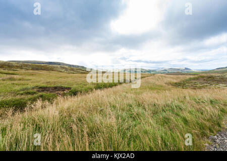 Voyager en Islande - paysage islandais rural près de skeggjastadir farm en septembre Banque D'Images