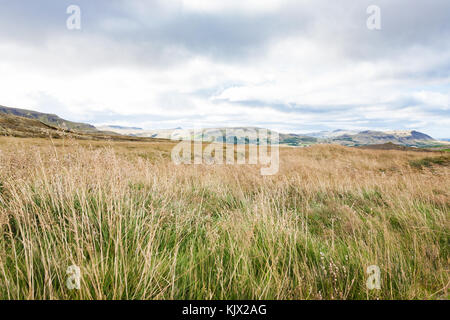 Voyager en Islande - terre de pâturage près de skeggjastadir farm en septembre Banque D'Images