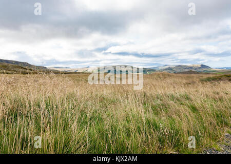 Voyager en Islande - champ près de skeggjastadir farm en septembre Banque D'Images