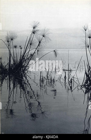 Le titre fait référence à une image ou un enregistrement spécifique intitulé 'Peter mirom 003', qui fait probablement partie d'une collection, bien que plus de contexte soit nécessaire pour identifier son contenu exact ou son sujet. Banque D'Images