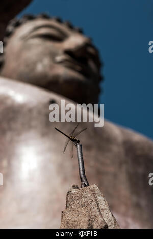 Petit insecte libellule floue assis près de statue de Bouddha. Banque D'Images