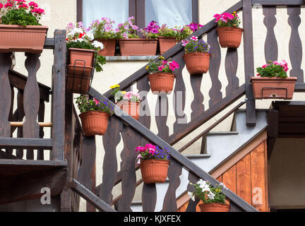 Escaliers en bois décoré avec des pots de fleurs floral fond dans la campagne. Banque D'Images