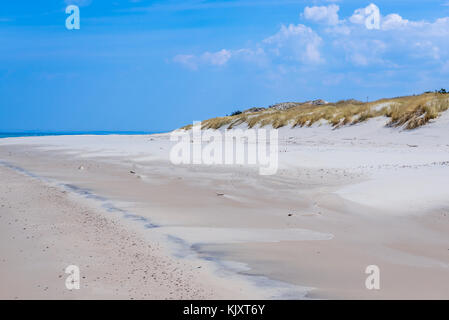 Dunes sur une plage dans la zone de protection stricte du parc national de Slowinski sur la côte Baltique à Voivodeship de Poméranie, Pologne Banque D'Images