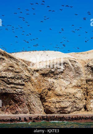 Iles Ballestas près de Paracas, Ica, Pérou région Banque D'Images