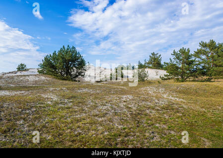 Dune dans la réserve naturelle de Sarbska Spit entre le lac Sarbsko et la mer Baltique près de la ville de Leba dans la Voïvodeship de Poméranie de Pologne Banque D'Images