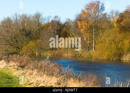 Hemingford Grey pré et la rivière Great Ouse, Cambridgeshire, Angleterre, Royaume-Uni. Banque D'Images