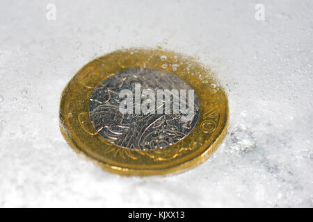 Nouvelle pièce d'une livre pris dans la glace Banque D'Images