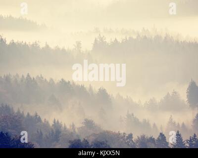 Dans la brume lourde magnifique paysage. automne brouillard crémeux en paysage. hill est passé de brouillard épais. Banque D'Images