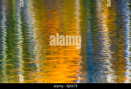 Reflet de Silver Birch Tree on a de l'eau moirée. Banque D'Images