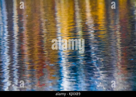 Reflet de Silver Birch Tree on a de l'eau moirée. Banque D'Images