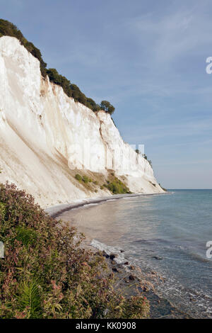 Møns Klint, les falaises de craie jusqu'à 120m au-dessus de la mer sur la côte de la mer Baltique orientale de l'île de Møn au sud-est de Sjælland, Danemark, Møn ou Moen. Banque D'Images