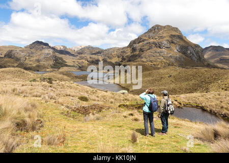 Parc National El Cajas Équateur - un guide touristique et de randonnée pédestre dans le parc national, Cuenca, Équateur Amérique du Sud Banque D'Images